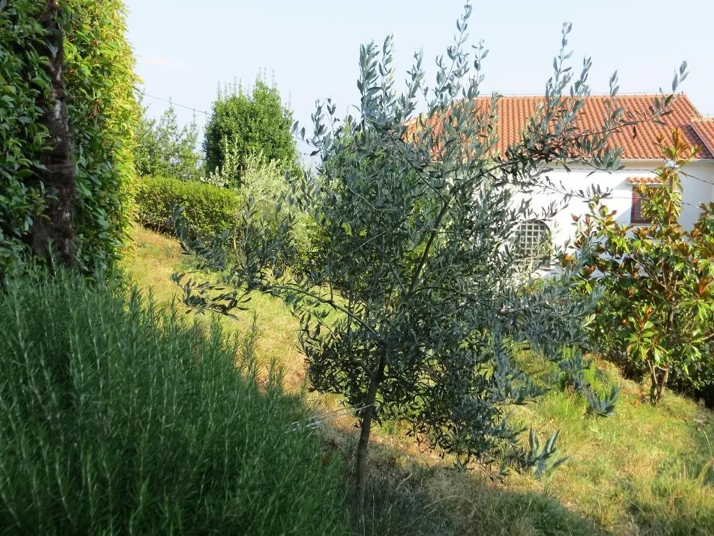 Apartman Villa Luppo Ičići Horvátország